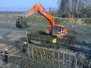 租賃船挖機(jī)圖永安市 荊州區(qū)翔宇水陸挖掘機(jī)租賃經(jīng)營部
